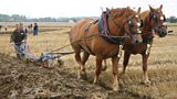 Ballycastle Horse Ploughing Championship