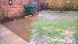 Boggy back gardens