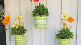 Blooming Marvellous!
