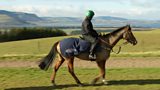National Hunt Racing