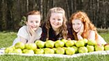 The Apple Blossom Fair