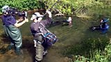 Fish conservation