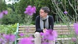 Darren Hayman