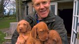 Adam, Boo's puppies and the ostriches!