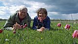 Spring meadow conservation