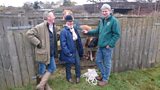 New Forest Pony Inspections