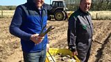 Asparagus