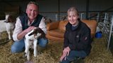 Goat Farming