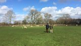 Paul Martin’s Smallholding – Spring Round Up