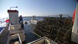 East Coast Fish Conflict