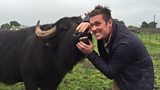 Farmer Steve Mitchell