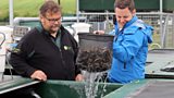 Teaching fish to be wild!