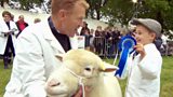 The Royal Bath and West Show