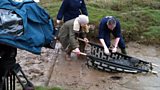 Seal Rescue