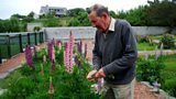 Iain a' gà irnealaireachd