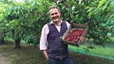 Rent A Cherry Tree