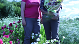 British Cut Flowers