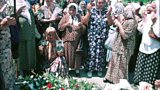 Related 成人快手 News Article