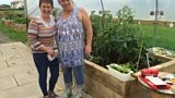 Duneane Garden Allotments