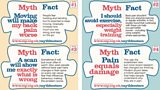 Busting the Back Pain Myths