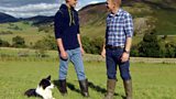 One man and his dog