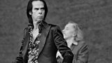 Nick Cave & the Bad Seeds