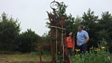 Cornfield Sculpture