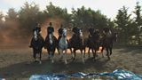 Police Horses