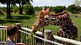 Call for @BelfastZoo to house only 'climate appropriate species'