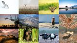 The Countryfile Photographic Competition winner!