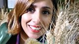 Harvest Mice