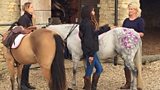 Horse Tattoos