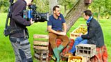 The Ciderologist