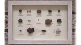 Clare Mackie's African Animal Poo