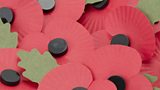 Poppy Controversy