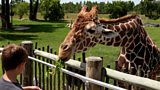 Belfast Zoo