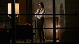 Nocturnal Animals