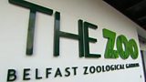 Belfast Zoo