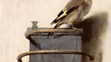 The Goldfinch