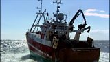 Brexit Fishing