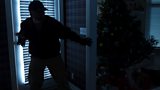 BURGLARIES