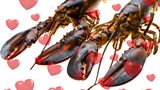 Norman and Norma the lobsters