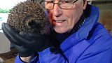 John and the Christmas hedgehogs