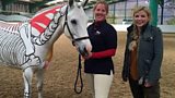Horses inside out