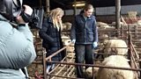 From farm to yarn