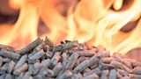 Is plan by Simon Hamilton to release RHI names in the public interest or welching on an agreement?
