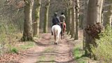 Equestrian centre faces closure over health and safety concerns at Castlewellan Forest Park.