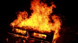 Pallets dumped at bonfire sites in east Belfast - six months before the annual Eleventh Night event in July