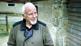 David Essex