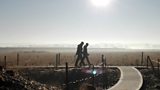 RSPB Snettisham